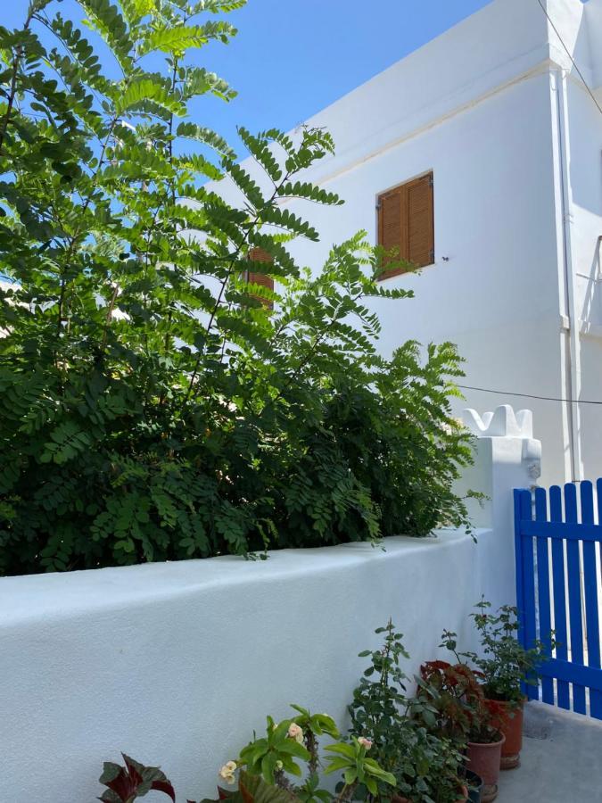 Blue Pearl Apartment Glinado Naxos Zewnętrze zdjęcie