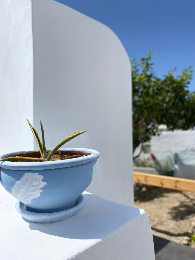 Blue Pearl Apartment Glinado Naxos Zewnętrze zdjęcie
