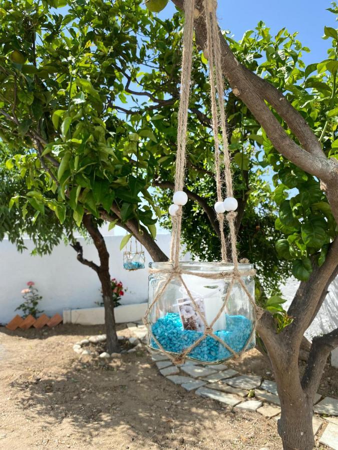 Blue Pearl Apartment Glinado Naxos Zewnętrze zdjęcie